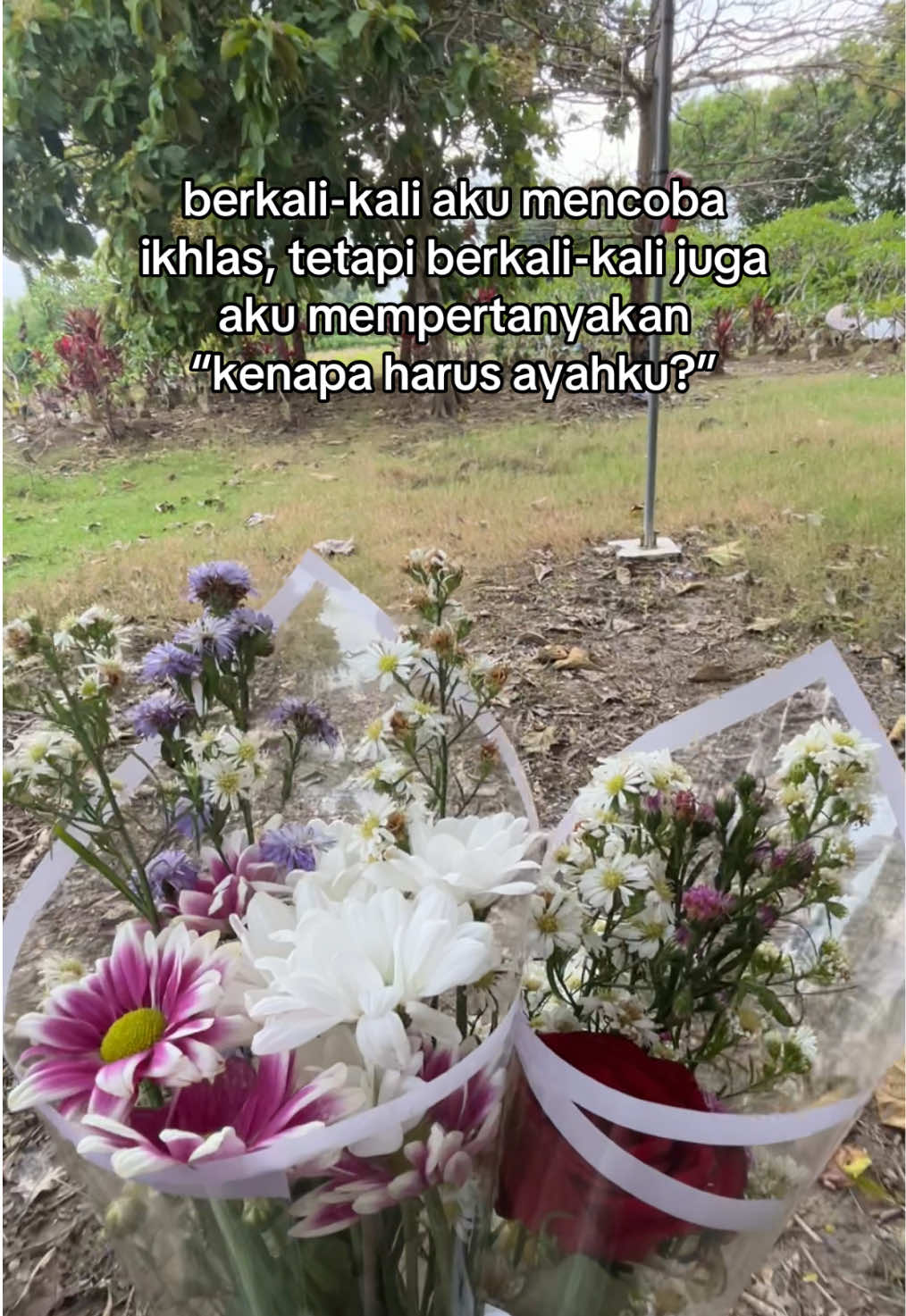 andai masih ada ayah🥹 #ayah #kangenayah #fypシ 