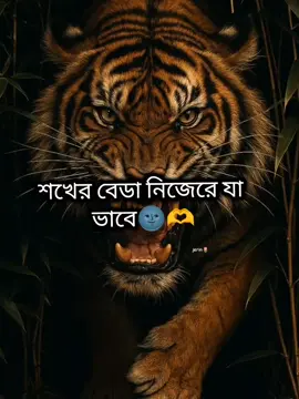 🐸🫶#oman🇴🇲 #pleaseunfrezzemyaccount #tiktokofficialbangladesh #foryourpage #fyp 
