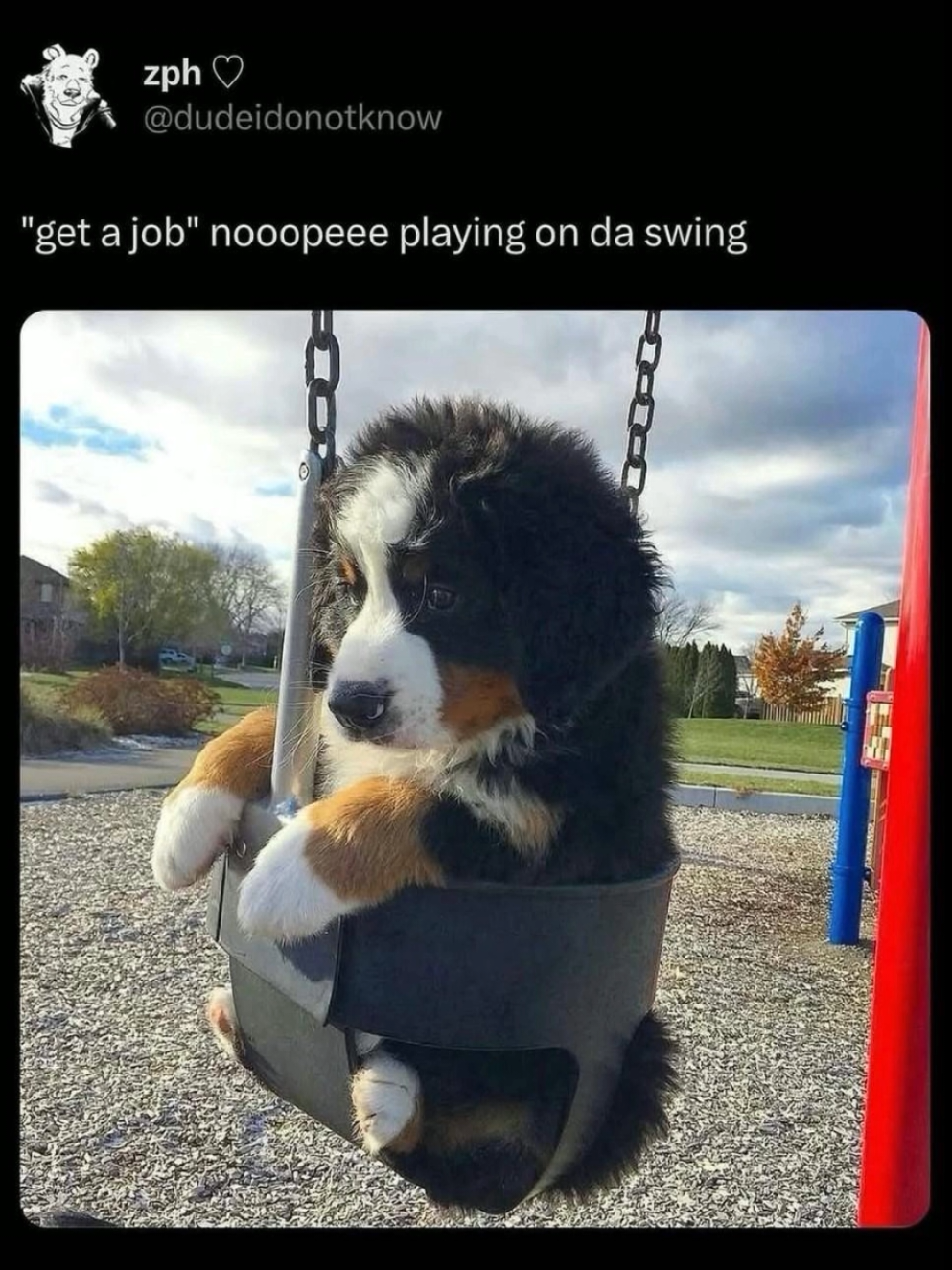playing!! playing!!!