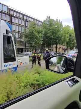 Action #pov #amsterdam #simba #3robi #fyp 