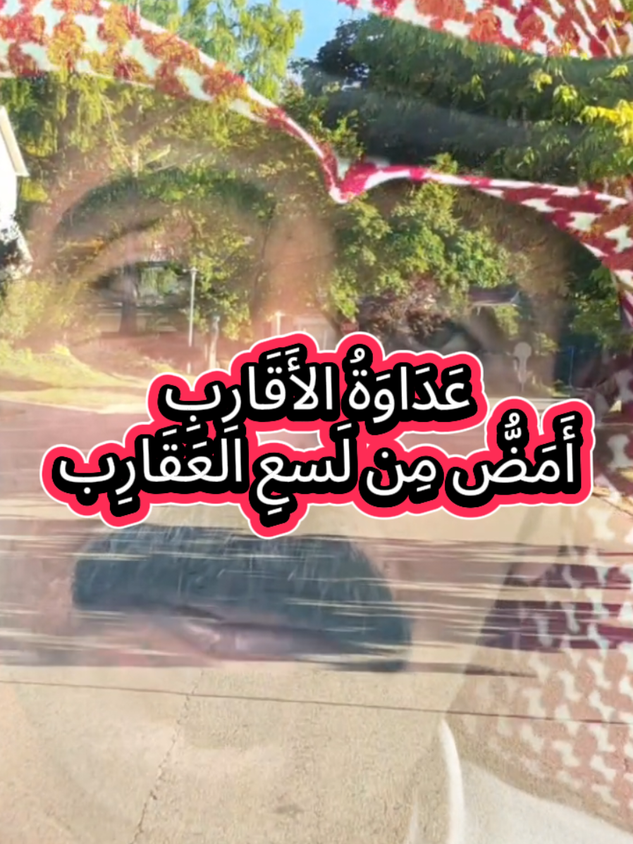 نصيحة لك و للعمر لا تنصدموا من غدر الأقرباء فقد كان يوسف قد غدر من إخوته و هو أحد الأنبياء . #شاهر_السرحاني 