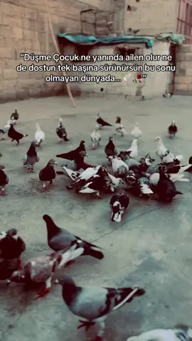 En güzel Sözler alalım..🕊🥀#storylikvideolar📌 #fypシ゚ #özcandemir #şanlıurfa #keşfetbeniöneçıkar 