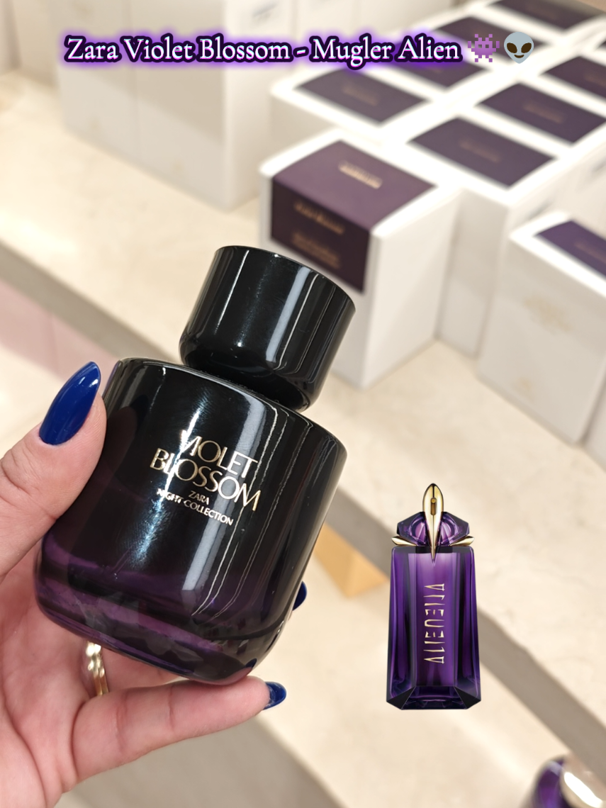 Zara Violet Blossom - Mugler Alien 👾👽  #fyp #zara #zaraperfume #mugler #perfumetiktok 