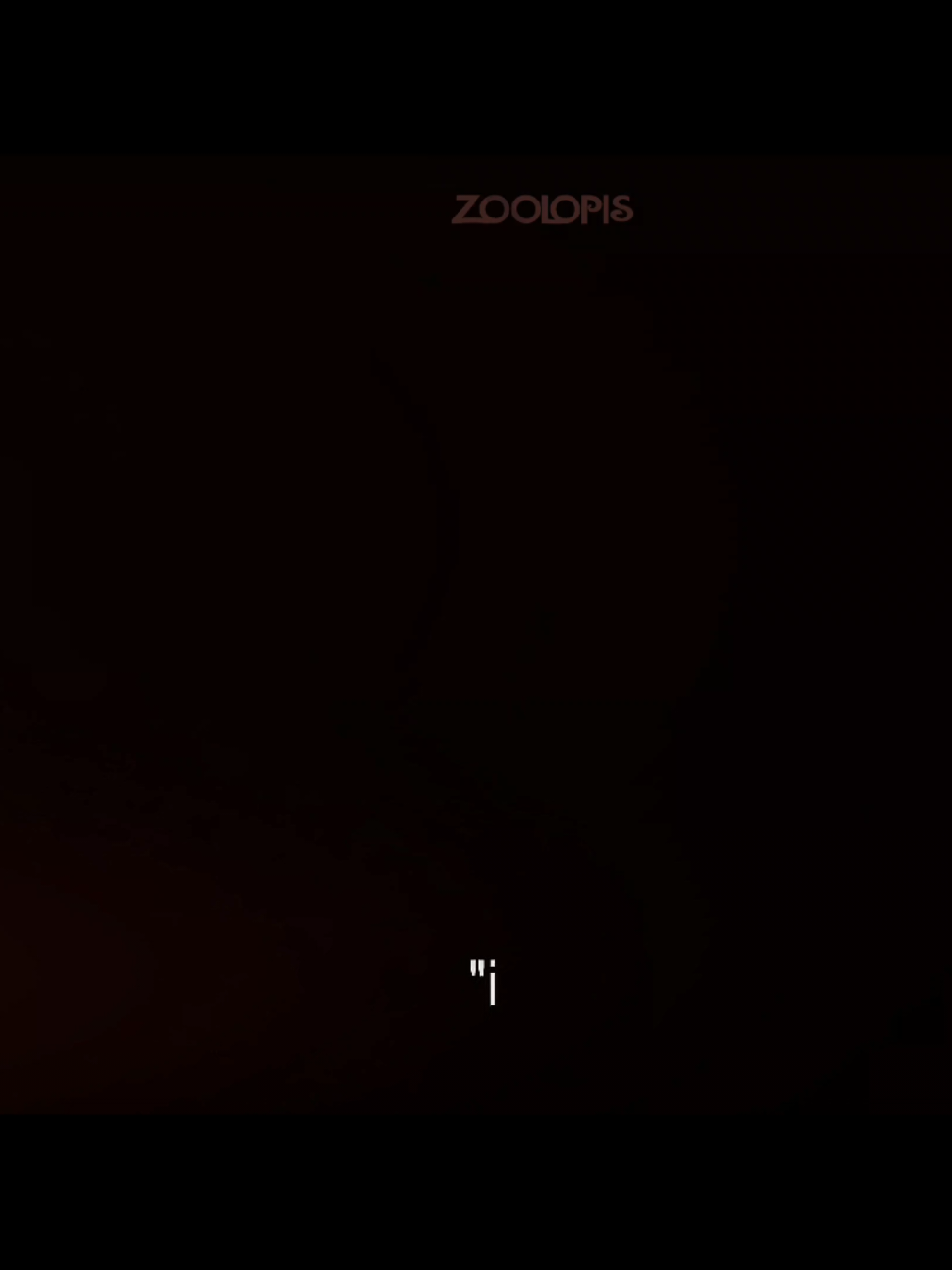 #ZOOTOPIA  | the quality is 0/10 but i loveed making this edit | #zoolopis #xyzbca #viral #fyp 