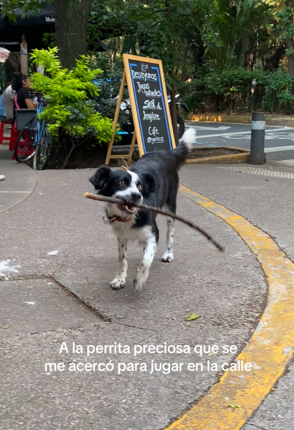 Mi wattpad story de 1hr JAJAJAJ. Never ever a dull moment porque siempre me pasan las cosas más randoms