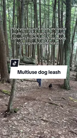 POV: You discover the ultimate body-inclusive dog leash 🐾  Hands-free or regular handle: perfect for walks, hikes & adventures!  #DogLeash #HandsFreeLeash #DogWalking #DogAdventure #petgear 