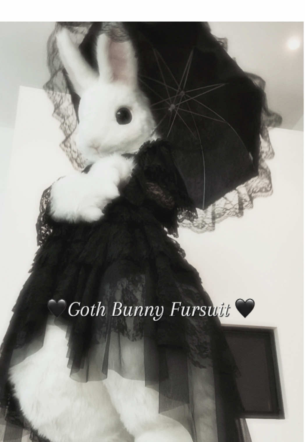 🖤🖤🖤 . . . Dress is from Asmalia Gothic #furry #fursuit #goth #malicemizer #kemono 