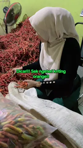 Karena sempit nya tempat, ra isoh nyuntaki . Akhire menemukan kriting orange meneh” #magelang #muntilanmagelang #pasarmuntilan #mbwincabe 