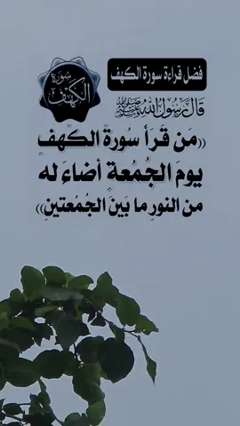 ‏قال رَسول الله ﷺ: «من قرأ سورةَ الكهفِ في يومِ الجُمعةِ أضاء له من النُّورِ ما بين الجمُعَتَين»#سورة_الكهف #يوم_الجمعه #اكسبلور #اللهم_صل_وسلم_على_نبينا_محمد #تيك_توك 