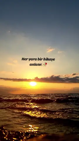 #🌞⭐🌞⭐ 