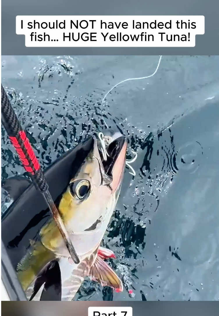I should NOT have landed this fish… HUGE Yellowfin Tuna! #kellyyoung #fish #fishing #virul #fypシ
