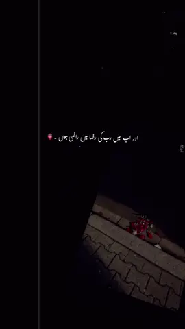 دل دکھتا ہے تو دکھتا رہے ❤️‍🩹 #hk_vibess_ #foryoupage #1millionaudition #growaccount #fyp 