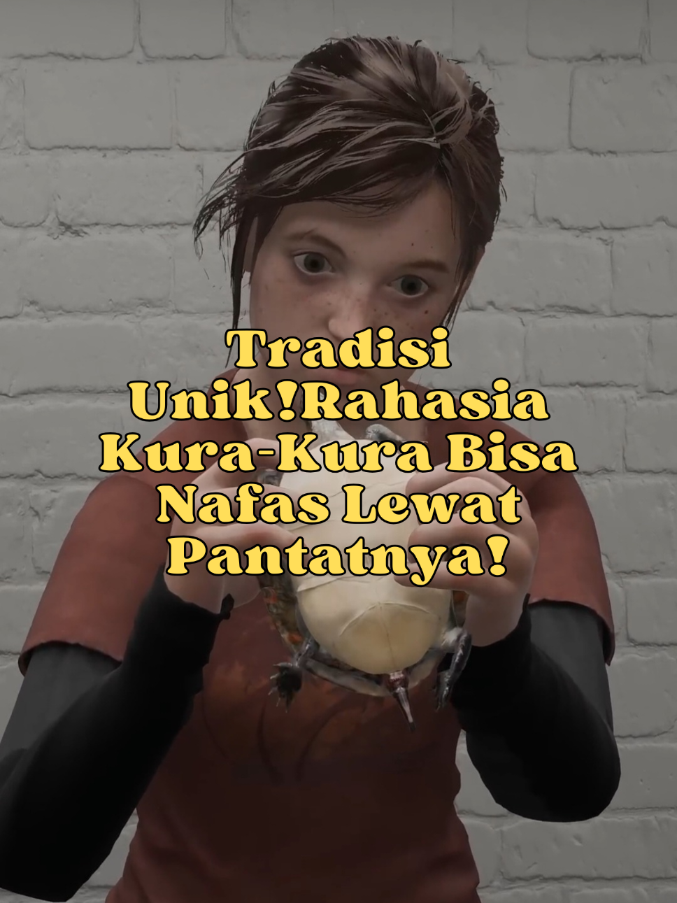📌 Detail Fakta Cerita Kura-kura punya cara bernapas yang unik banget. Kalau manusia mengandalkan paru-paru untuk bertahan hidup, beberapa jenis kura-kura justru bisa bernapas lewat pantat mereka. Lebih tepatnya, kura-kura memiliki organ khusus di sekitar kloaka (lubang serbaguna untuk pembuangan dan reproduksi) yang dilapisi pembuluh darah. Saat berada di dalam air untuk waktu lama, mereka bisa menyerap oksigen langsung melalui jaringan itu. Proses ini disebut respirasi kloakal. Kemampuan ini sangat berguna ketika kura-kura berhibernasi di dasar danau yang dingin selama berbulan-bulan. Mereka hampir tidak bergerak, metabolisme tubuh melambat drastis, dan oksigen minim bisa dipenuhi lewat “pernapasan pantat” ini. Jadi, saat kamu melihat kura-kura santai di bawah air tanpa muncul ke permukaan, jangan heran. Bisa jadi, mereka sedang menghirup oksigen lewat pantatnya—cara bertahan hidup yang luar biasa aneh tapi efektif. #FaktaUnik #KuraKura #FaktaHewan #NafasLewatPantat #MisteriAlam 