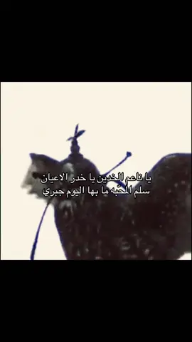 ناعم الخدين#foryoupage #المري#foryoupage #B #طير 