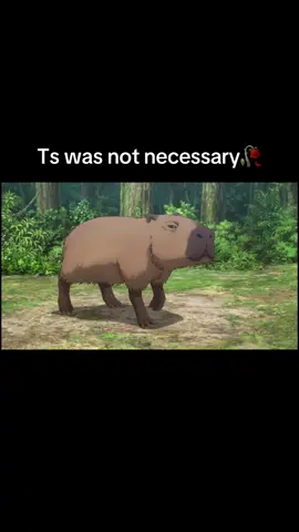 #drstone #senkuishigami #suika #ts #tsukasa 