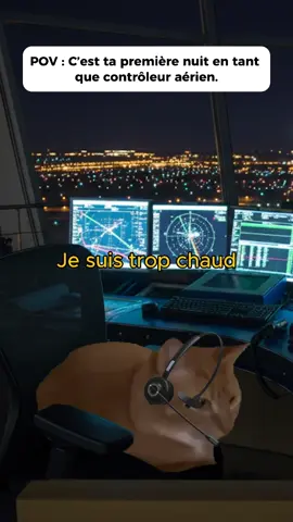 POV : C'est ta premier nuit en tant que contrôleur aérien #humour #catstory #catmeme #histoiredechat #drole 