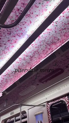 🌸#japan #sakura #metro #метро #питер 