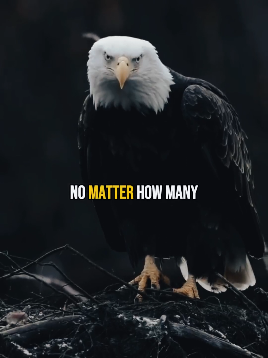 Motivational video🔥😎 Mistakes are worthy💪 #motivation #motivacional #success #quotes #foryou @Inspire Saga 