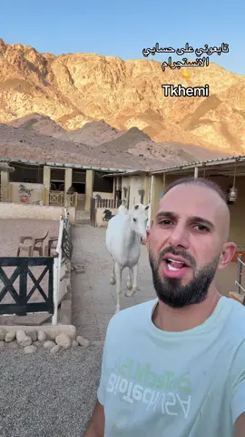 #ماشاءالله_تبارك_الله_اذكروا_الله #خيل_وخياله🐎 #مشاهدات #اكسبلور #creatorsearchinsights 