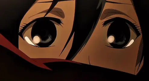 #anime#MikasaAckerman#ErenYeager#AttackOnTitan#fyp
