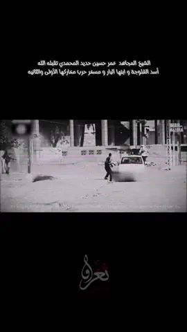 TikTok ya haywan this is all fake nothing real it’s a scene from a movie mixed with AI.#Islam#Muslim 