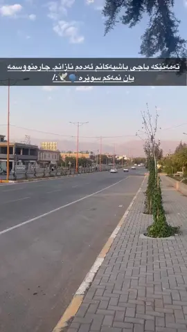 Halabja💍🫶🏻#halabja #foryou #viral 