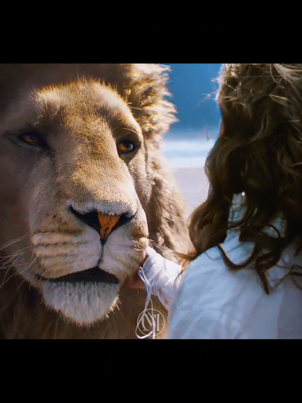 Tendo me conhecido um pouco aqui, podem me conhecer melhor lá. Filme: As crônicas de Narnia: A viagem do peregrino. #narnia #aslam #filmes #pravoce #cenasmarcantes 