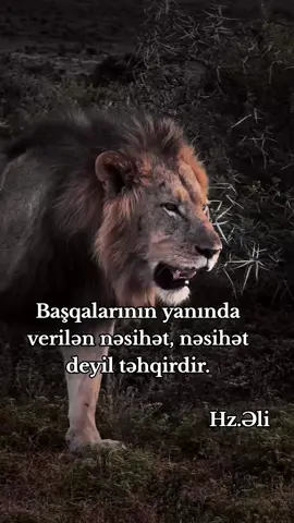 keşfet