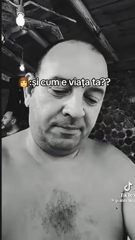 #creatorsearchinsights #