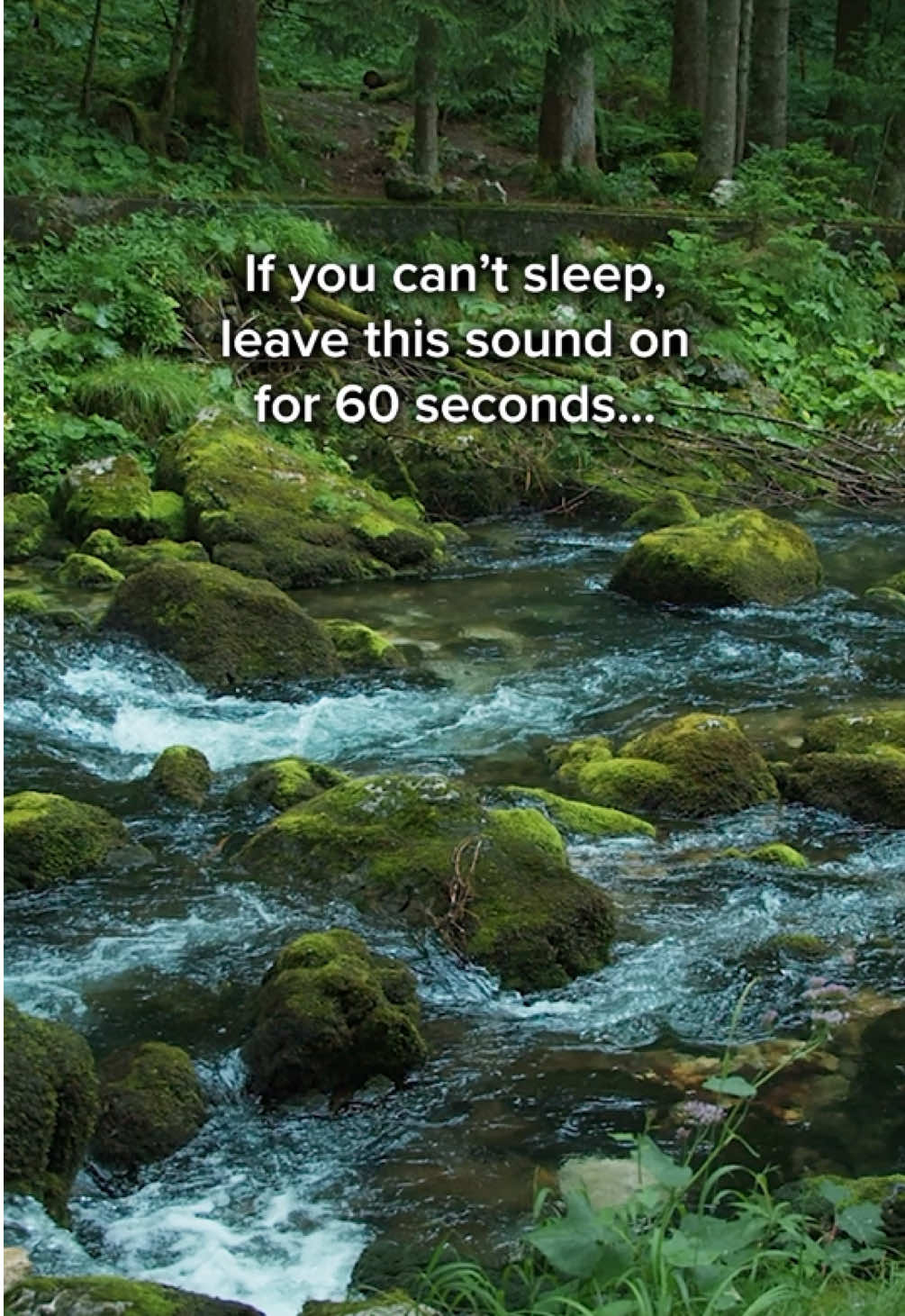 Life’s loud, this stream isn’t. Take a break and breathe.