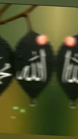 #😭😭😭🤲🏻🤲🏻🤲🏻😭😭😭🤲🏻🤲🏻 #🕋🕋🕋🕋🕋🤲🏻🤲🏻🕋🕋🕋🥰🥰🕋🕋🥰🥰🕋🕋🕋🥰🥰🥰🕋🕋🕋🕋🥰🥰🥰🕋🕋🕋🕋 #😭😭😭🤲🏻🤲🏻🤲🏻😭😭😭🤲🏻🤲🏻 #🕋🕋🕋🕋🕋🤲🏻🤲🏻🕋🕋🕋🥰🥰🕋🕋🥰🥰🕋🕋🕋🥰🥰🥰🕋🕋🕋🕋🥰🥰🥰🕋🕋🕋🕋 #😭😭😭🤲🏻🤲🏻🤲🏻😭😭😭🤲🏻🤲🏻 