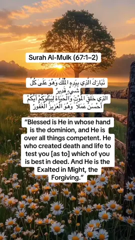 #reminder #allahuakbar #muslimtiktok #fyp 