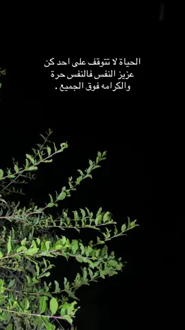 #حسين_التگريتي #تكريت #العلم #الحاوي #عشوايات 