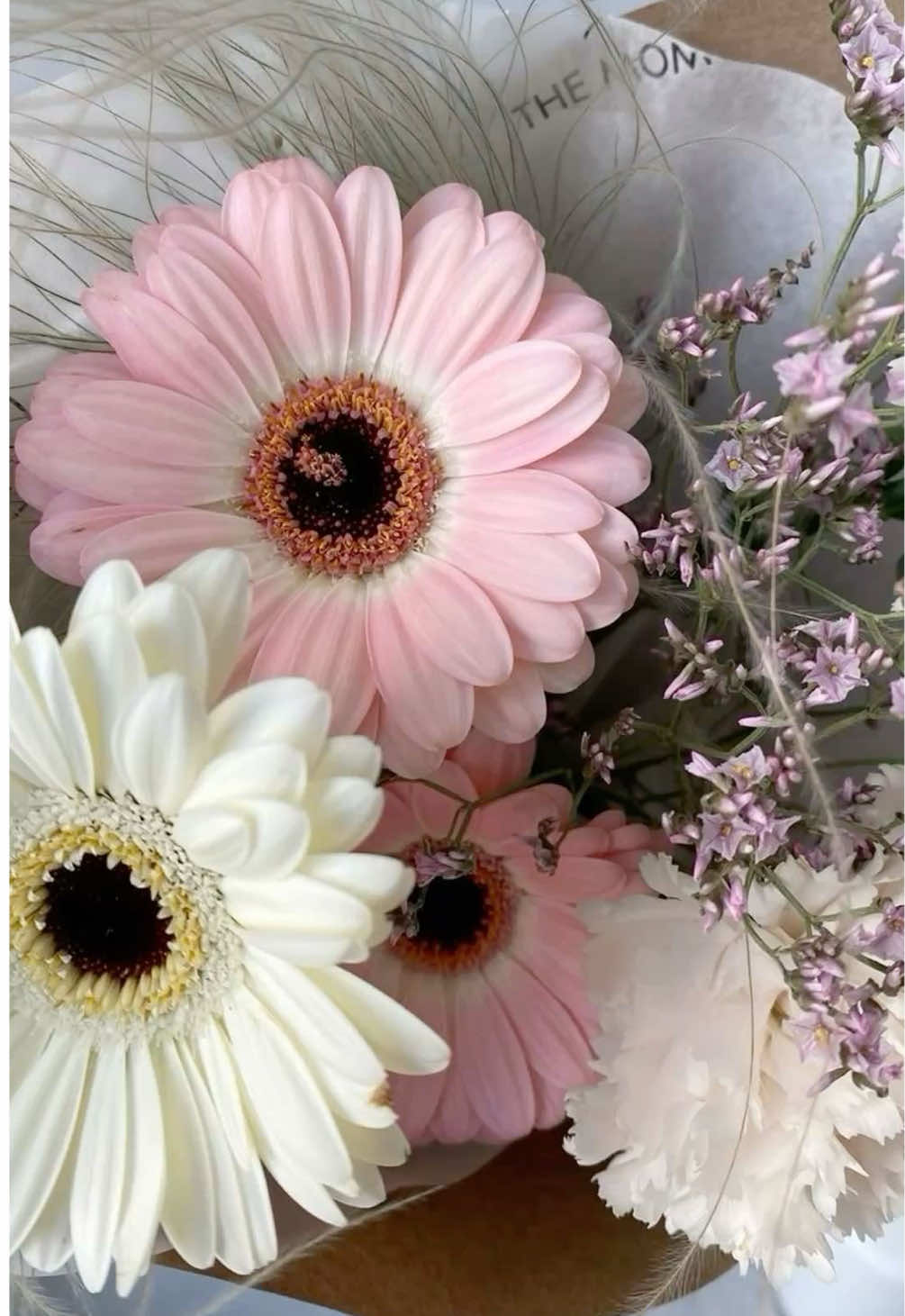 Jajajaa somos #afp #peru#girls #peru #fyp 