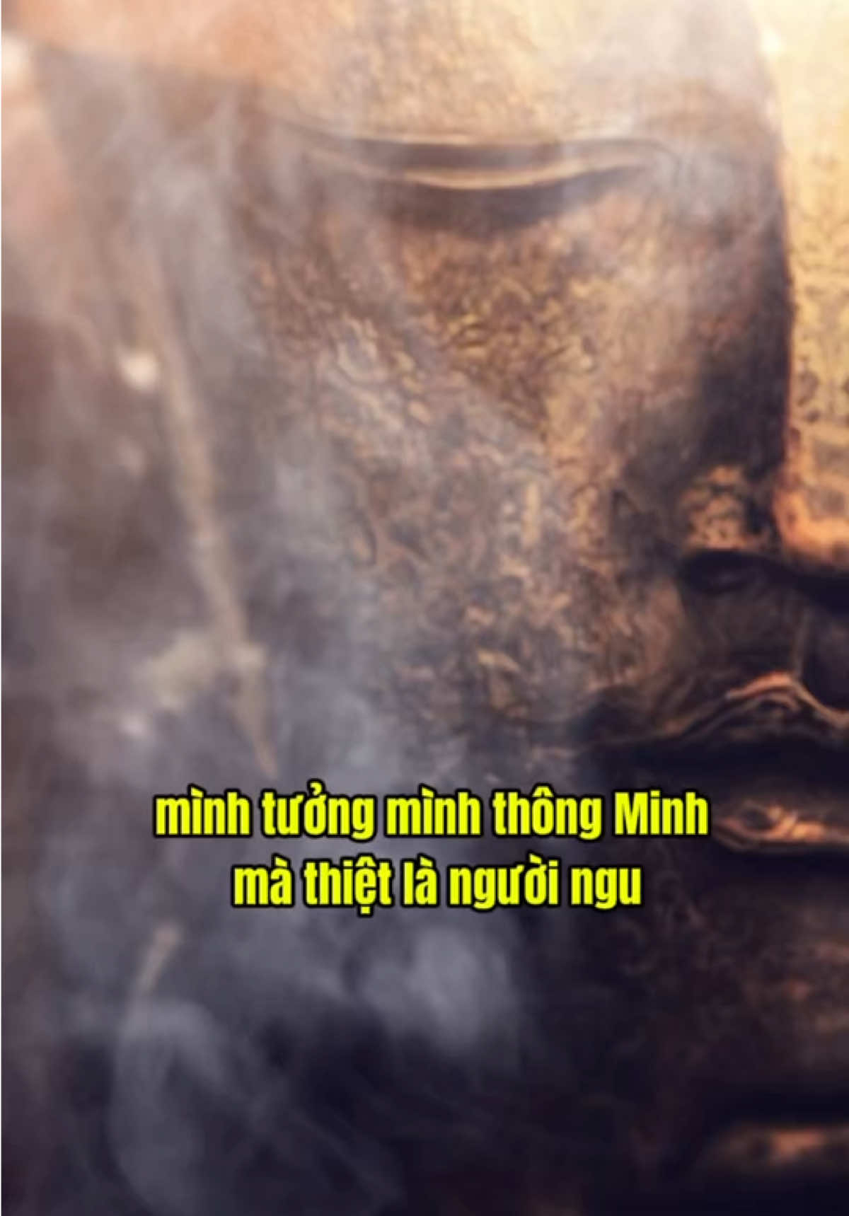 mình gạt người ta mà mình tưởng mình thông minh #phatphap #phatphapnhiemmau #annhien #loiphatday #chualanhtamhon #annhientungngay #thichphaphoa 