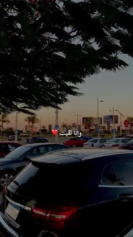 #اصالة #viral ##viralvideo #fyp #explorepage #fyppppppppppppppppppppppp #assala #tiktok #fypシ 