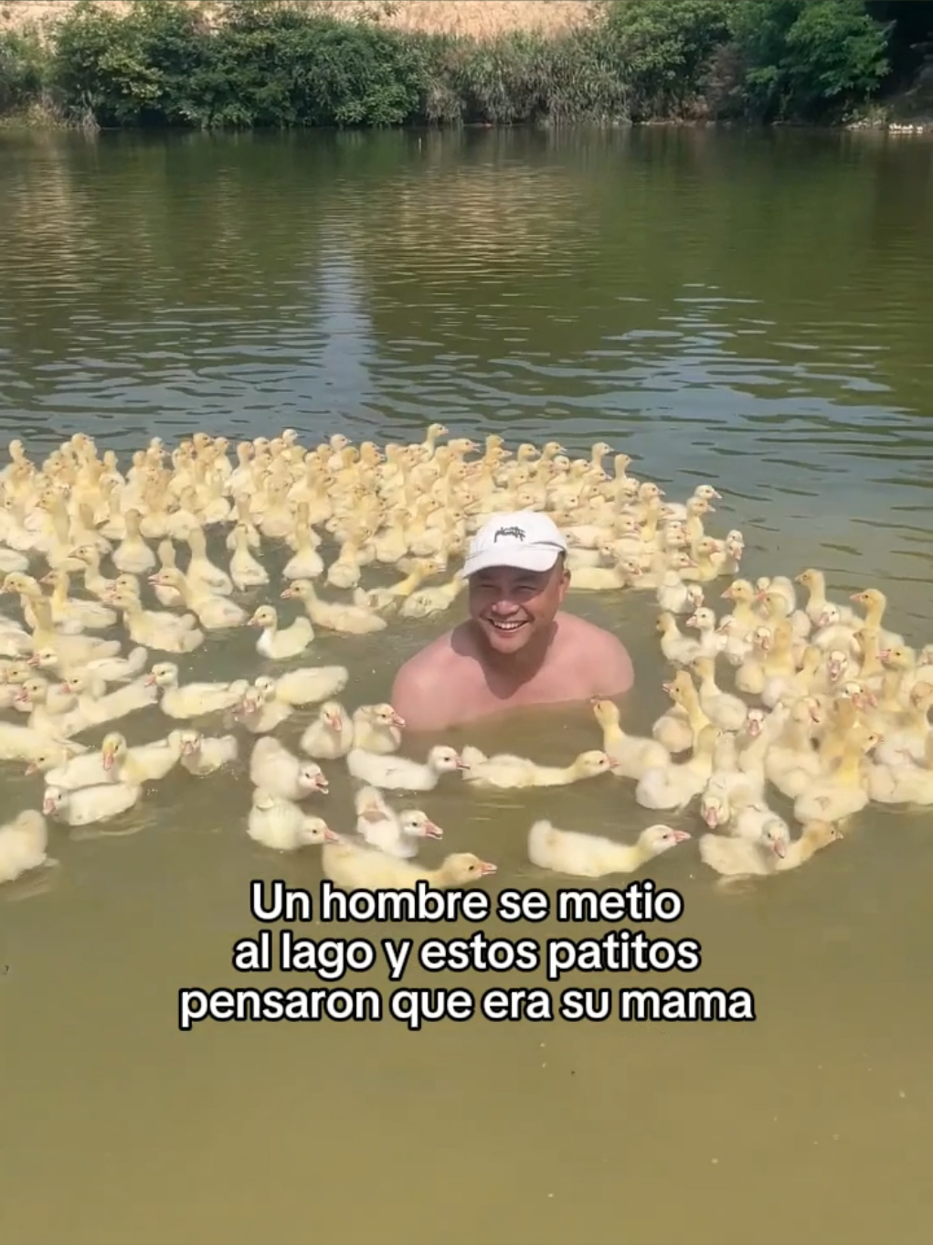 Esto es hermoso #wholesome #animals #animales #mascotas #fyp 