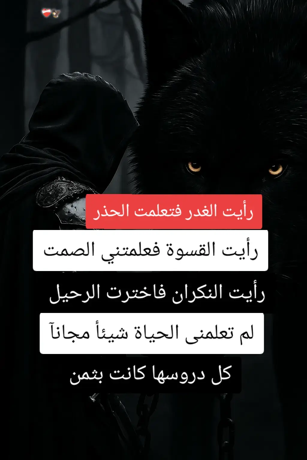#fypシ゚  #virla  #viralvi  #اقتباسات  #new 