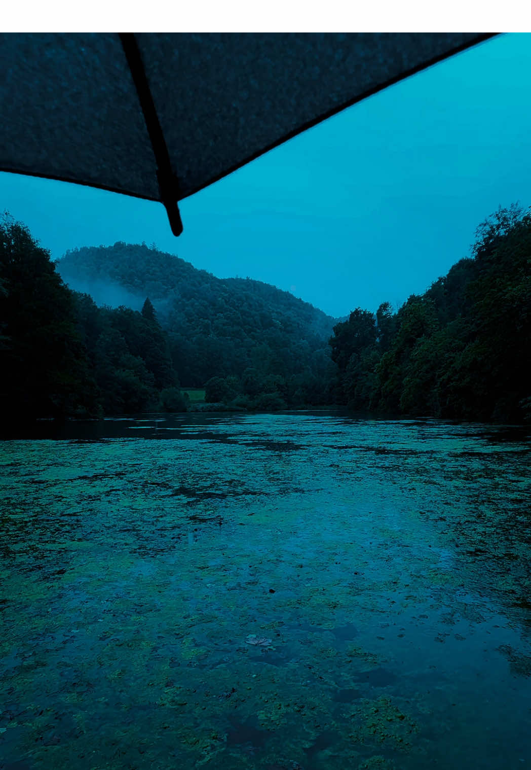 🖤🖤🖤#nature #calm #darkaesthetic #naturephotography #foryоu 
