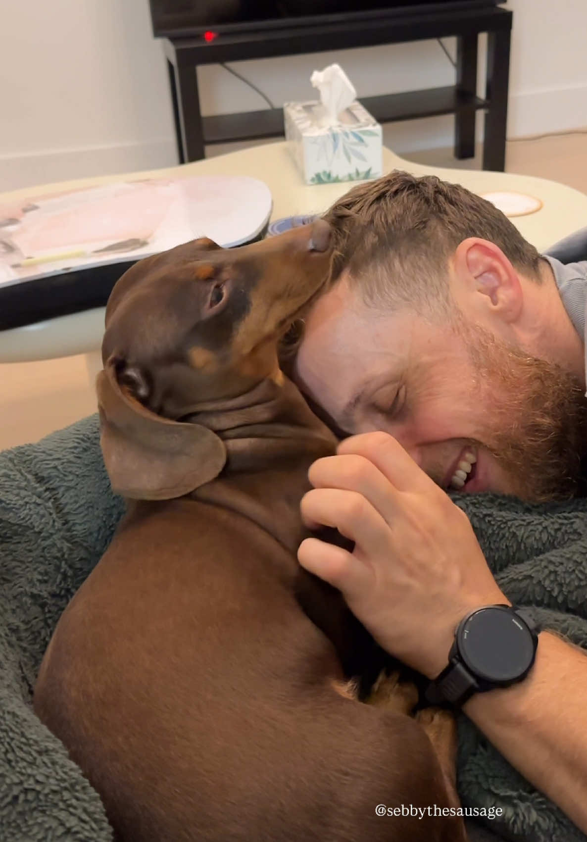 do you have a routine with your wiener?? Rate Sebbys out of 10🙂‍↔️  #dachshund #minidachshund #sausagedog #wienerdog      My pets, miniature dachshunds, dogs having fun moments, cleaning my drafts, what da dog doin, small cute puppies, puppies funny videos, day in the life of a dog, puppy TikTok trends, dog routine, dachshund being dramatic, funny dog clips, my pet, mini dachshunds puppies, my puppy, small dog Videos, puppies with their parents, the sleeper dog, dachshund dog, puppy cuteness, dachshund sitting, short haired dachshund, funny pets moments, dachshund whining 