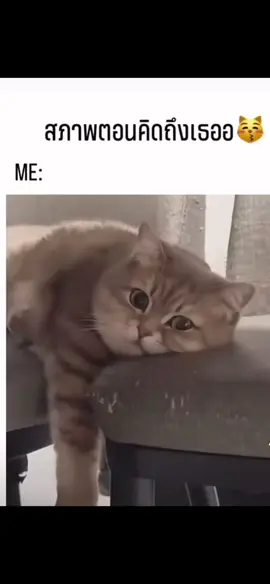 #คิดถึง 