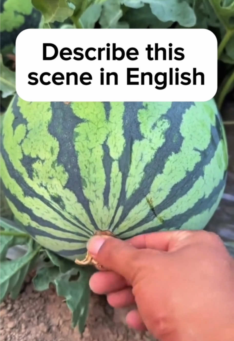 Can you describe this scene in English? #learnenglish #englishlesson #english #englishtips #englishlearning 