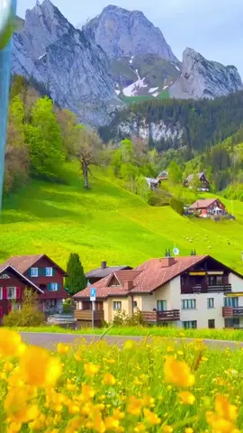 #فصبر_جميل_عسى_الله_ان_يأتيني_بهم_جميعا #سعود_الفايز_تلاوات_خاشعه_مناظر_طبيعيه_تسحر_العين #مناظر_خلابه_طبيعيه_اجمل_اماكن_خلابه_في_العالم_سويسرا_النرويج_ايسلندا #راحه_نفسيه🖤🎧_ #مناظر_خلابه_مناظر_طبيعيه 