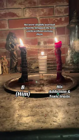 This was a close call but he did very well and there was no reconnection ❤️🥺 #banefulhealing #lettinggo #toxictraits #addiction @BrightEyedGemini 