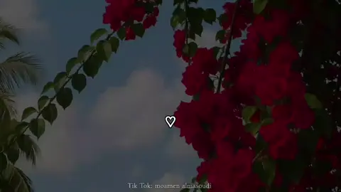 #اشرقت_نفسي_بنور_من_فؤادي🤍✨️ #explore #foryou #اناشيد_بدون_موسیقی 