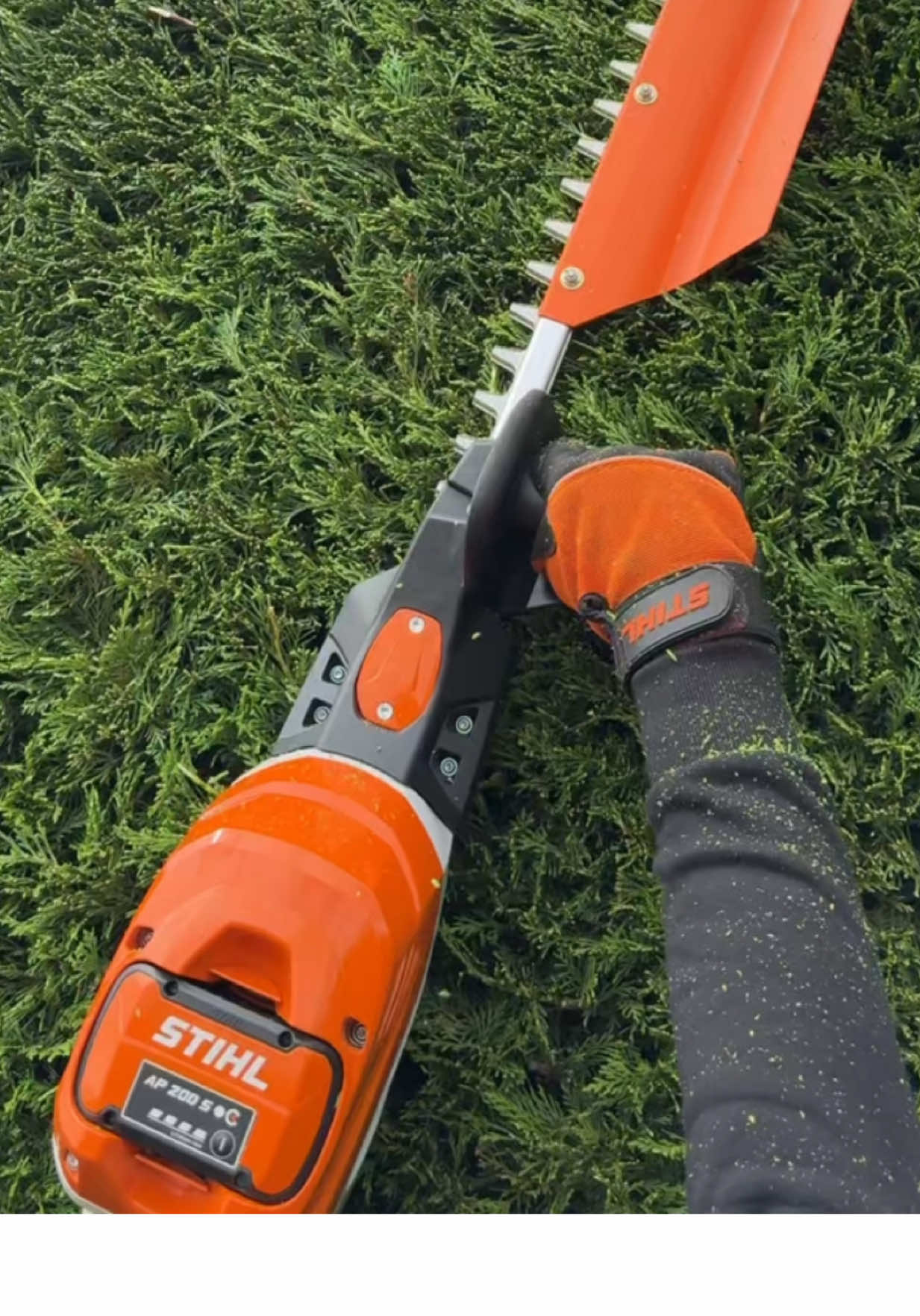 Satisfying hedge cutting with the STIHL HSA150T #autumn #autumngarden #stihl #stihlhedgecutter #hedgetrimming  @STIHL TIMBERSPORTS® GB 
