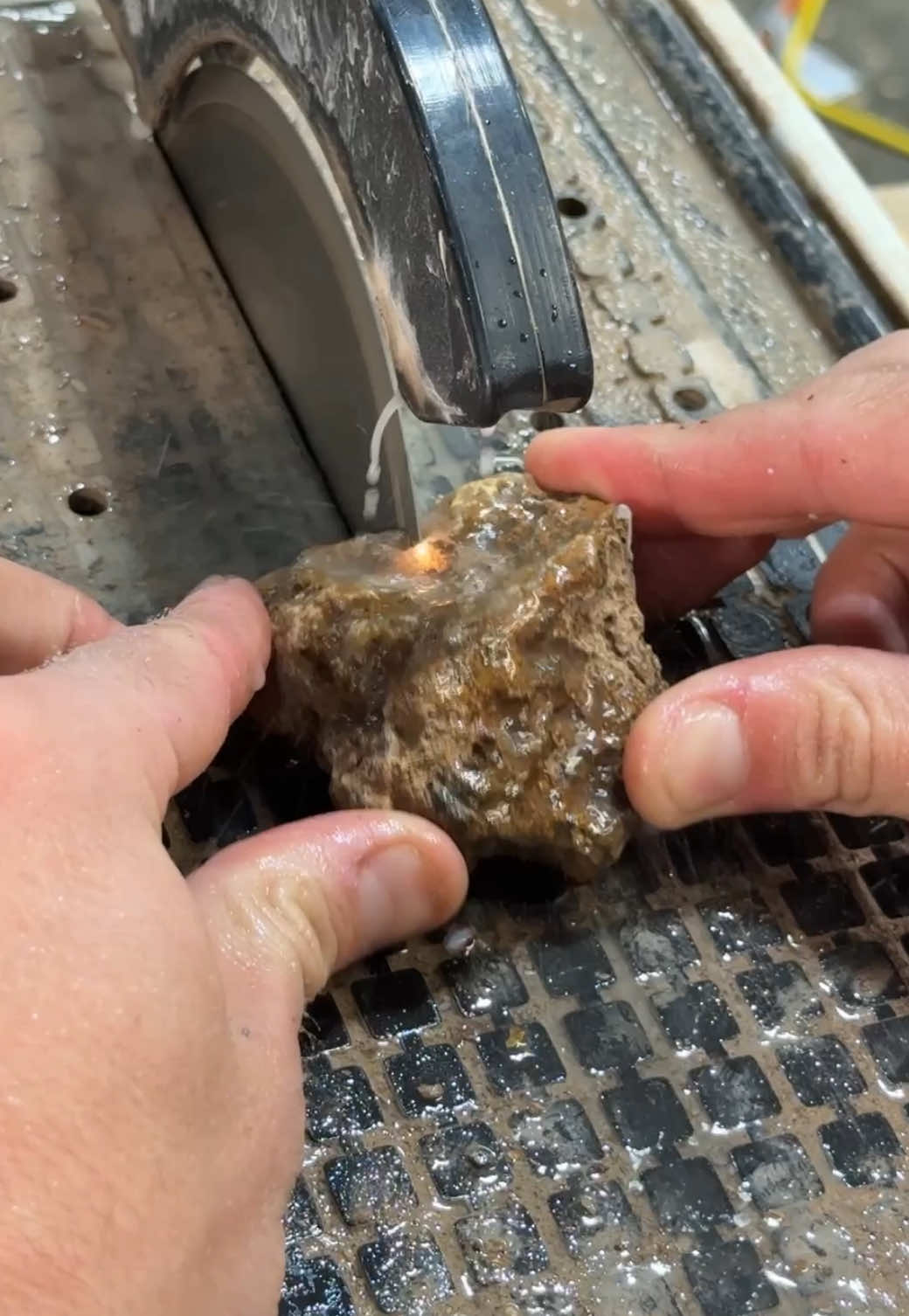 Will the bands run deep?? Let’s cut and find out! #taylorsrocksmithery #agate #bands #mineral