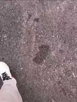 А ты чужая невеста 👰 | ведь движ в тгк #bmw 