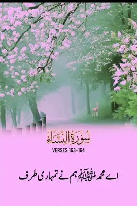 #Quran8002 #Viralvideo #100kviews #Foryoupage #2025 