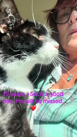Had to say goodbye to this sweet bot Felix. He was my moms cat. They can be together now. No more suffering Felix. First time I ever had to do this. It was hard. ❤️